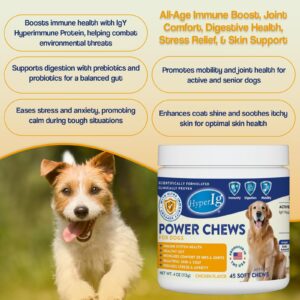 HyperIg Power Chews for Dogs - Chicken Flavor, IgY Hyperimmune Protein for Immune System Health, Joint Support, Stress & Anxiety Relief, and Healthy Skin & Coat – 45 Soft Chews - 113 Grams