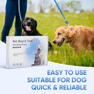 PawsXfun Dog Healthy CPV Test Kit - Accurate & Quick 5-Pieces Home Detection in Feces/Vomit in 5-10 Minutes! Easy to Use Non-Invasive Early Diagnosis Tool Suitable for All Breeds & Ages