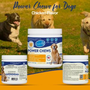 HyperIg Power Chews for Dogs - Chicken Flavor, IgY Hyperimmune Protein for Immune System Health, Joint Support, Stress & Anxiety Relief, and Healthy Skin & Coat – 45 Soft Chews - 113 Grams