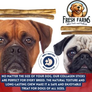 Fresh Farms Natural Collagen Sticks for Dogs 12 Pack - 12 Inches Long-Lasting Alternative to Bully Sticks, Rawhide-Free Collagen Chews w/Chondroitin & Glucosamine for Joint Support & Dental Health