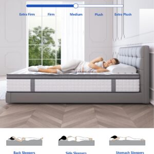 elitspace Full Size Mattress,10 Inch Full Mattress in a Box,Hybrid Memory Foam Full Size Mattresses,Medium Firm Soft and Comfort White Mattress,CertiPUR-US.