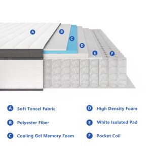 elitspace Full Size Mattress,10 Inch Full Mattress in a Box,Hybrid Memory Foam Full Size Mattresses,Medium Firm Soft and Comfort White Mattress,CertiPUR-US.