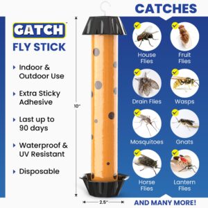 GATCH Fruit Fly Trap (10 Pack), Fly Stick for Mosquitoes, Sticky Trap for Flies Gnats Wasp Flying Insects, Bug Catcher, Indoor or Outdoor Use, Ready to Use Home