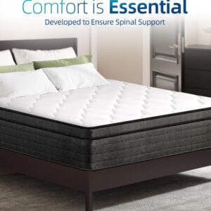 elitspace Queen Size Mattress,10 Inch Memory Foam Hybrid Queen Bed Mattresses in a Box Individual Pocket Spring Breathable Comfortable for Pressure Relief, CertiPUR-US,100 Nights Trial.