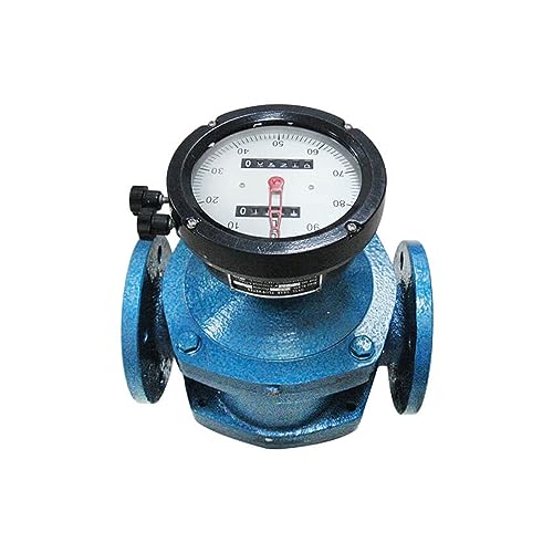 Fuel Oval Gear Flow Meter, Fuel Flow Meter Water Liquid Flow Meters Measuring Tools - Long Lasting(DN20)