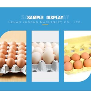 Egg Tray Machine for Fruit Tray and Egg Tray Manufacturing Business