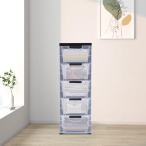 Closet Organizer Storage Drawers, Medium Stationary 5-Drawer with Four Wheels, Plastic Drawer Organizer with Clear Doors for Pantry, Closet, Desk, Home and Office De-Clutter, Shoes and Crafts