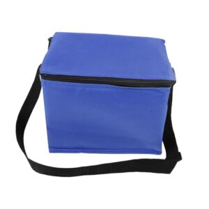 insulation ice shopping cooler for catering insulated catering cooler food cooler hot food carrier hot food transport containers blue aluminum anneome