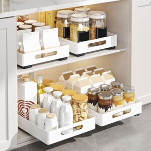 Yjcnelcr Extendable Drawer Easy to Install Sliding Storage Rack No Drilling Condiment Shelf Storage Shelves for Kitchen Cabinet