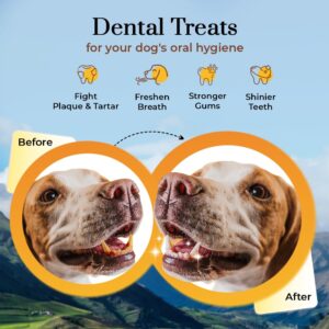 Dogsee Himalayan Yak Cheese Dog Chews (Small - 3 & XL - 3 Chews) | No Preservatives | Rich in Protein & Calcium | Premium Dog Dental Chews