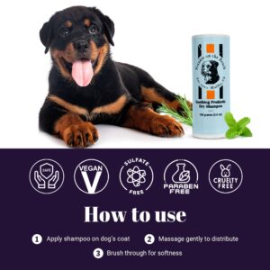 Frankie on the Beach - Soothing Probiotic Dry Shampoo