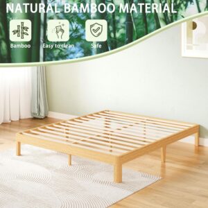 ZIYOO Queen Bed Frame 12 Inch Solid Wood Platform Bed with Metal Slats, Natural Bamboo，No Box Spring Needed, Easy Assembly, Heavy Duty Bed Frame，Free of Noise