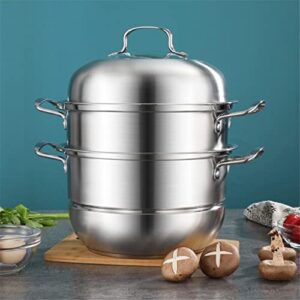 3-Tier/Layer Steam Cooker Pot, Kitchen Multi-function Steam Pot, For Induction Cooker Gas Stove Steam Pot(28cm 2 layer)