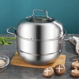 3-Tier/Layer Steam Cooker Pot, Kitchen Multi-function Steam Pot, For Induction Cooker Gas Stove Steam Pot(28cm 2 layer)