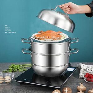 3-Tier/Layer Steam Cooker Pot, Kitchen Multi-function Steam Pot, For Induction Cooker Gas Stove Steam Pot(28cm 2 layer)