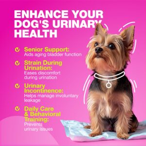 Dog UTI Treatment - Dog Cranberry Supplement for Bladder & Kidney Health, Urinary Tract, Incontinence Support - Cranberry Supplement for Dog Incontinence - Bladder Control Cranberry Chews