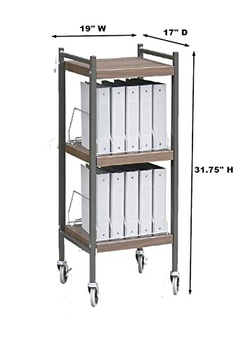 Omnimed American Made Mini Chart Rack (Woodgrain)