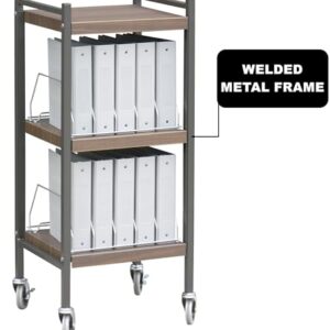 Omnimed American Made Mini Chart Rack (Woodgrain)