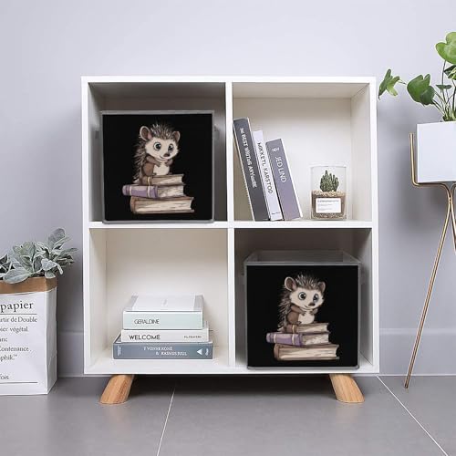 Cute Hedgehog Book Foldable Storage Bins with Handles Storage Cubes Closet Organizer for Living Room Bedroom 2PCS