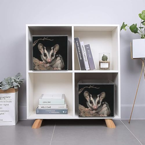 Australian Sugar Glider Foldable Storage Bins with Handles Storage Cubes Closet Organizer for Living Room Bedroom 6PCS