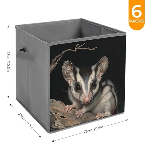 Australian Sugar Glider Foldable Storage Bins with Handles Storage Cubes Closet Organizer for Living Room Bedroom 6PCS