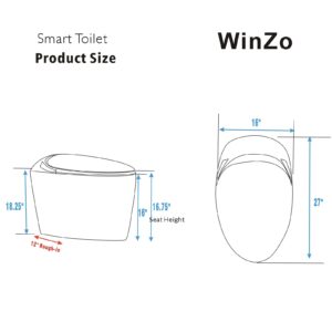 WinZo Luxury Smart Toilet With Bidet Seat, Elongated Egg Shaped Modern Design, Auto Open Auto Flush, Adjusted Heated Seat, Warm Water and Dryer, Night Light, Side Buttons, Grey