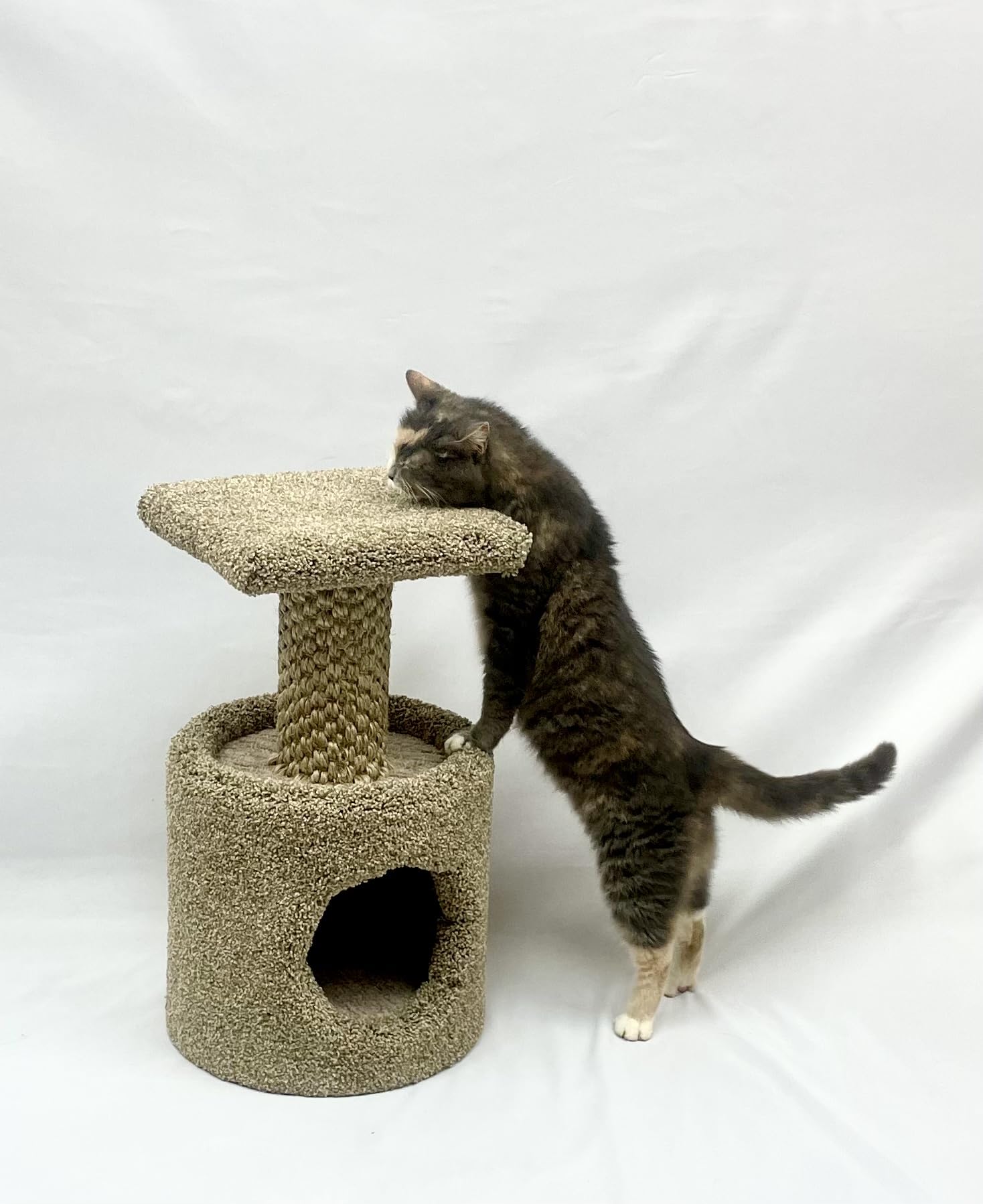 GIA Furniture Series 2-in-1 Cat Scratching Post with Perch & Hideaway - Carpeted Cat Tower with Sisal Rope for Scratching, Climbing, and Lounging - Ideal for Small & Medium Cats