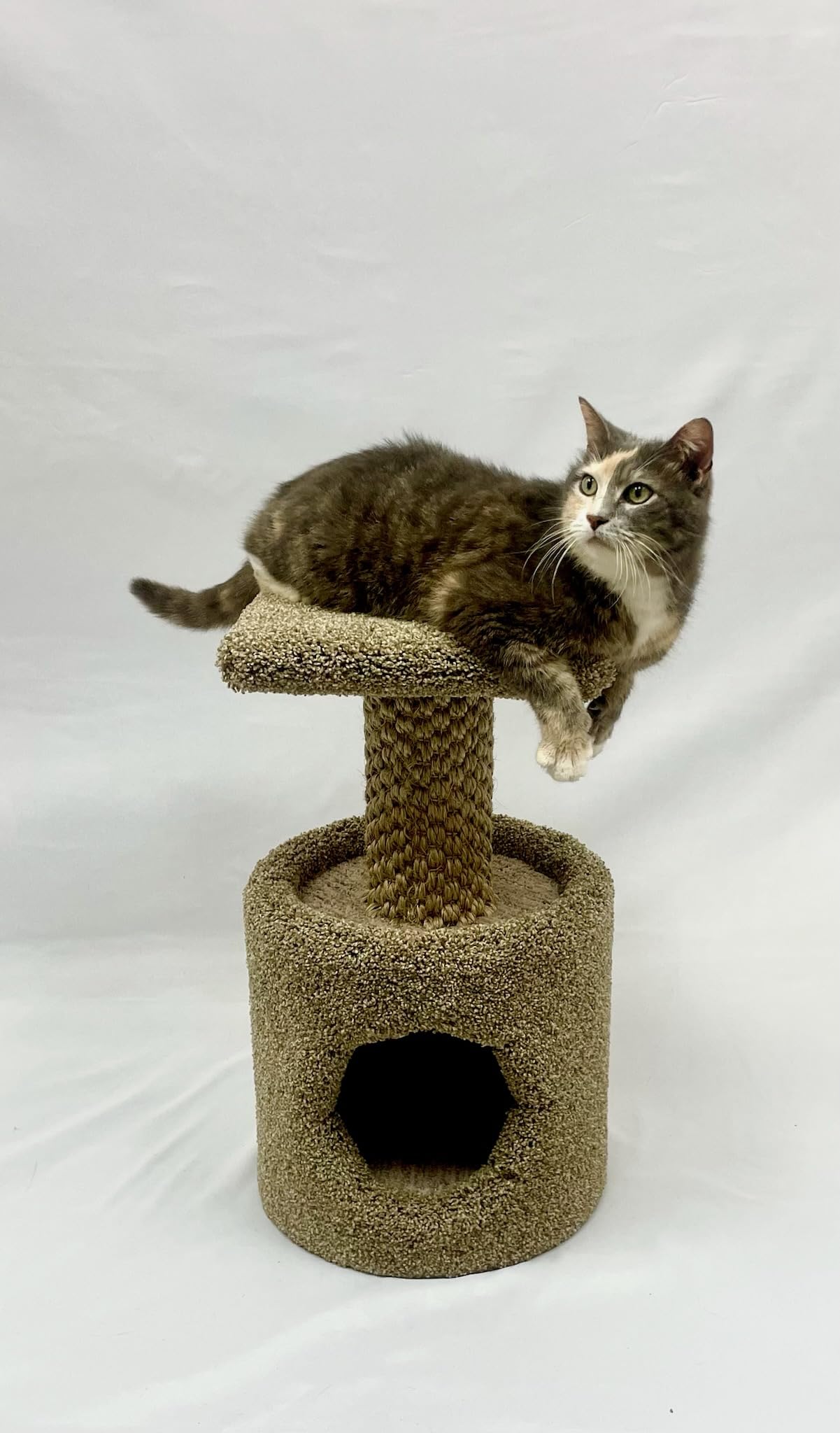 GIA Furniture Series 2-in-1 Cat Scratching Post with Perch & Hideaway - Carpeted Cat Tower with Sisal Rope for Scratching, Climbing, and Lounging - Ideal for Small & Medium Cats