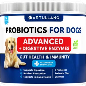 canine immune health support chewables - probiotics - prebiotic fiber - enzymes, treats for dogs