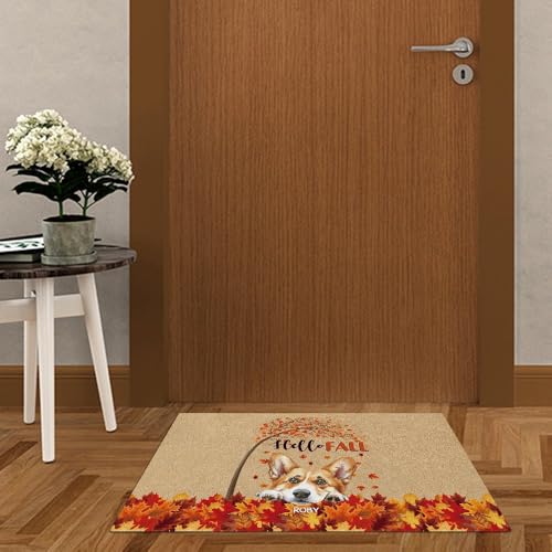 NeeQu Personalized Hello Fall Maple Leaves Door Mat Havanese Dog Autumn Decoration Doormat Home Entrance Way Floor Mat 23.6x35.4 Inch