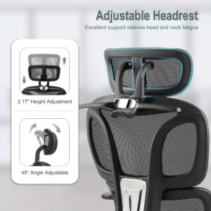 Ergonomic Office Chair with Foot Rest, Coat Hanger, High Back Mesh Computer Chair with Lumbar Support, High Resilience Sponge Seat, Comfy Reclining Home Office Desk Chair, Black