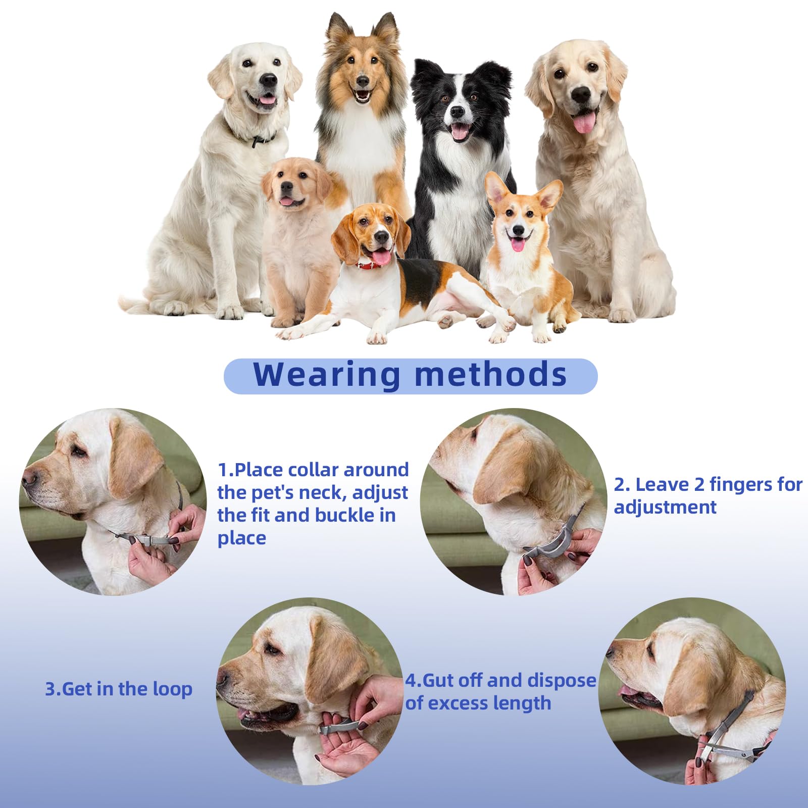 Calming Collar for Dogs 4 Packs,Dog Calming Collar,Pheromone Collar for Dogs,Relief Anxiety Stress Separation,Lasts 60 Days,25 Inches Size Flexible Adjustable, for All Small Medium and Large Dog