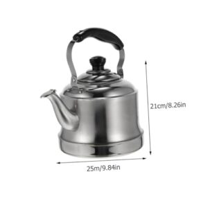 GREENADSCAPE 1pc Stainless Steel Kettle Teakettle Steel Tea Kettle Portable Espresso Coffee Machine Japanese Teapot Whistling Teapot Small Stove Practical Kettle Filter Silver