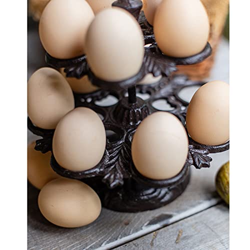 PASNMKvn Holder Dispenser Storage Rack Metal Storage Holder Display Rack for Kitchen Countertop 12 Eggs Holding Capacity