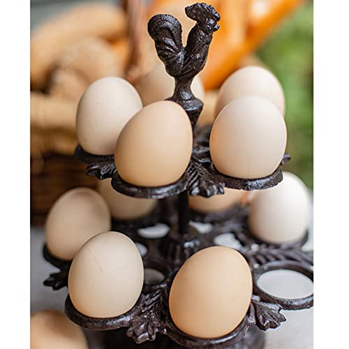 PASNMKvn Holder Dispenser Storage Rack Metal Storage Holder Display Rack for Kitchen Countertop 12 Eggs Holding Capacity