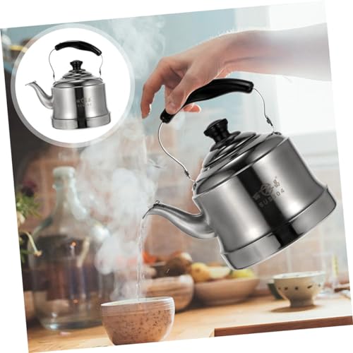 GREENADSCAPE 1pc Stainless Steel Kettle Teakettle Steel Tea Kettle Portable Espresso Coffee Machine Japanese Teapot Whistling Teapot Small Stove Practical Kettle Filter Silver