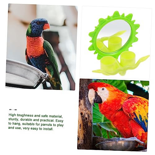 BESPORTBLE Parrot Food Box Food Toy Hanging Food Container Pet Birds Supplies Bird Mirror for Cage Hanging Parrots Feeder Pet Food Containers Birds Feeder Brain Toy Pet Toys Green Plastic