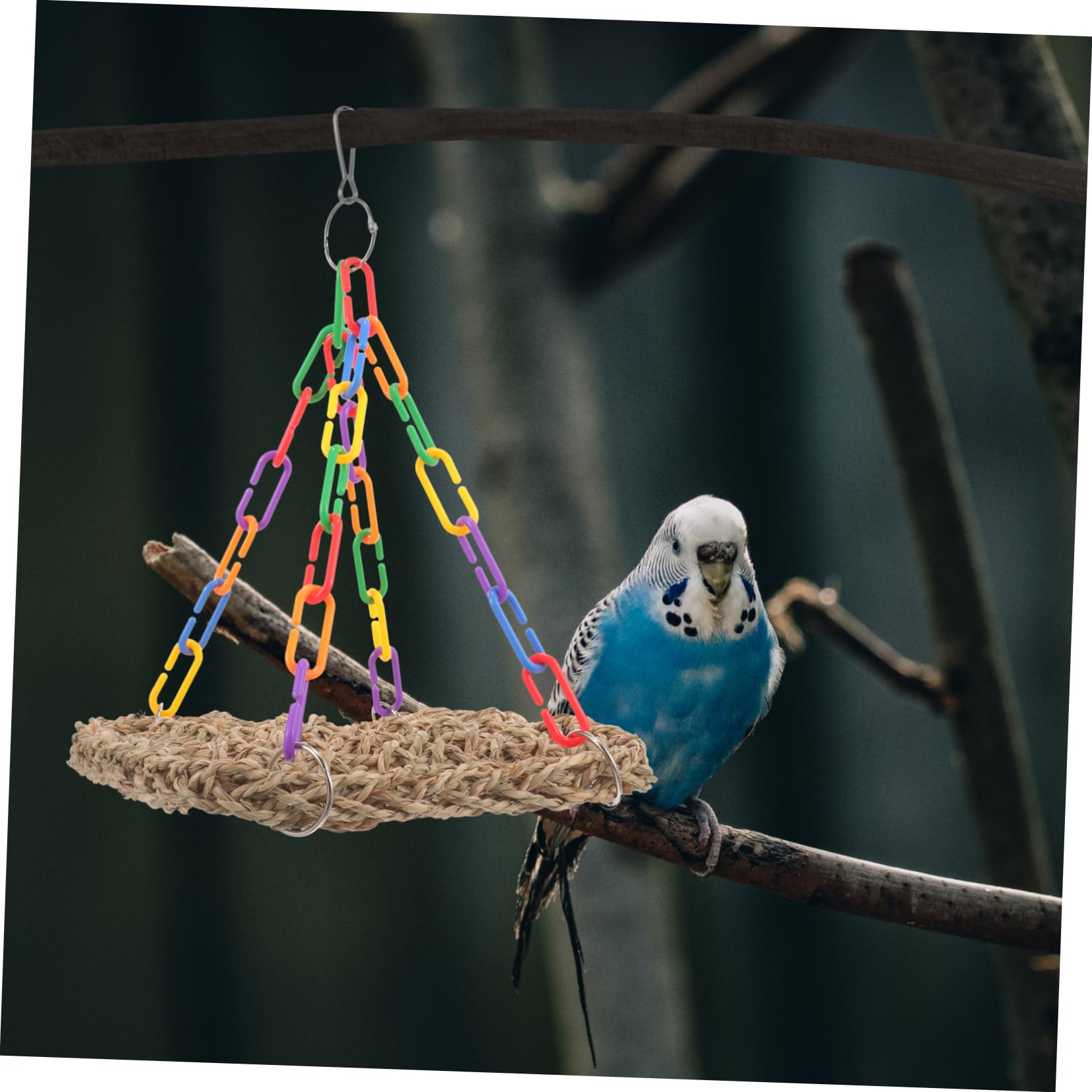 HANABASS Parrot Hammock Hammocks Parakeet Toys for Cage Bird Training Supplies Bird Swing Bird Hammock Toy Parakeets Swing Toy Parakeet Cage Hammock Parrot Perch Bird Cage Toys Zinc Alloy