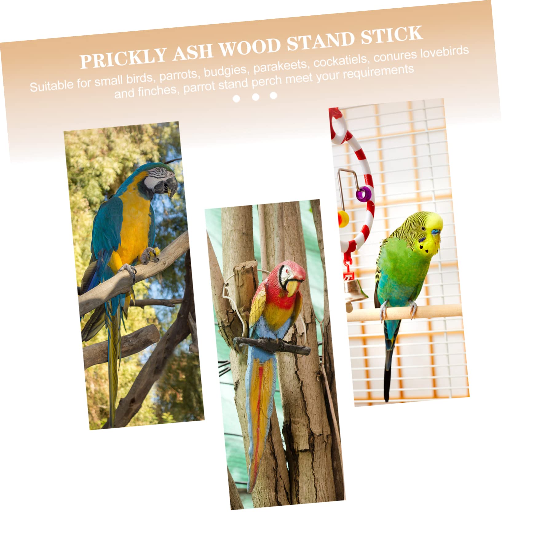 HANABASS 3pcs Parrot Standing Stick Natural Bird Perches Parrot Exercise Toys Hamster Teeth Grinder Parakeet Cage Perch Hamster Supplies Bird Cage Accessories Bird Tree Pet Toy Wooden