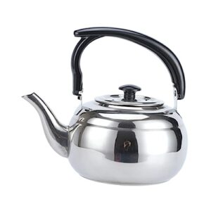 gririw stainless steel teapot travel kettle water boiling container teapot spout filter hiking stove water heating kettle espresso machine travel water kettle coffe filters silver