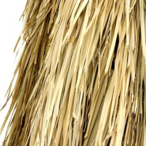 MUFVR 36" x30 Mexican Thatch Palapa Palm Grass Roll