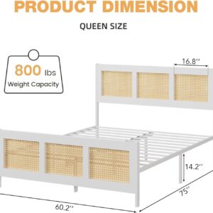 GarveeHome Queen Size Rattan Bed Frame with Headboard, White Boho Cane Platform Bed Frame with Strong Metal Slat, Noise Free, No Box Spring Needed