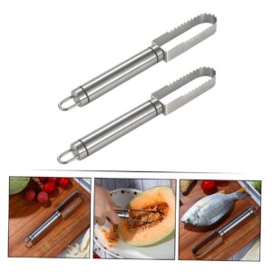 LABRIMP 2pcs Fish Scale Planer Salmon Scraper Japanese Fish Scaler Fish Skin Scaler Vegetable Peeler Fish Scale Scraping Fish Scale Scrapers Fish Shavera Stainless Steel Silver