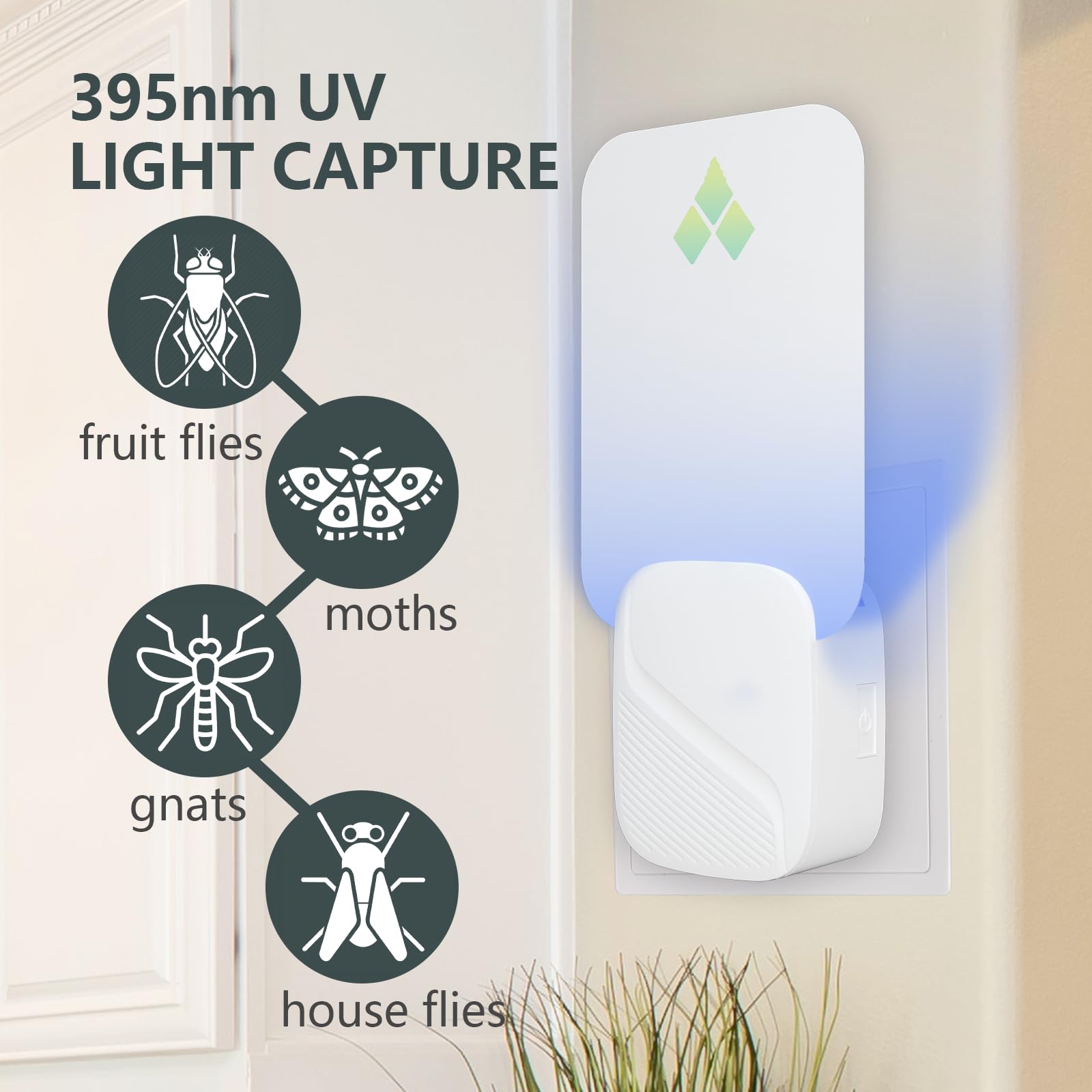 Fly Trap Indoor (2 Devices + 12 Glue Cards), 2 in 1 Fruit Fly Traps, Gnat Traps for House Indoor with UV Light & Night Light, Plug-in Flying Insect Trap Gnat Moth Catcher