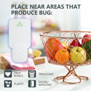 Fly Trap Indoor (2 Devices + 12 Glue Cards), 2 in 1 Fruit Fly Traps, Gnat Traps for House Indoor with UV Light & Night Light, Plug-in Flying Insect Trap Gnat Moth Catcher