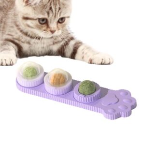 Catnip Chew Toys, Kitten Catnip Balls, Cats Balls Treats Set, Cat Teeth Cleaning Toys, Natural Catnip Balls, Engaging Catnip Playthings, Fun and Interactive Toy for Cats