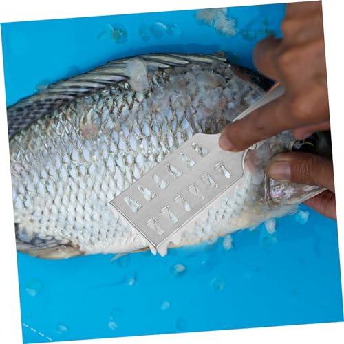 FUNOMOCYA Fish Scale Shaver Remove Fish Scale Fish Grater Living Fish Shaver Fish Scaler Brush Fish Scaler Kit Seafood Tool Scale Scraper Fish Gripper Fish Skin Cleaner Scale Peeler Silver