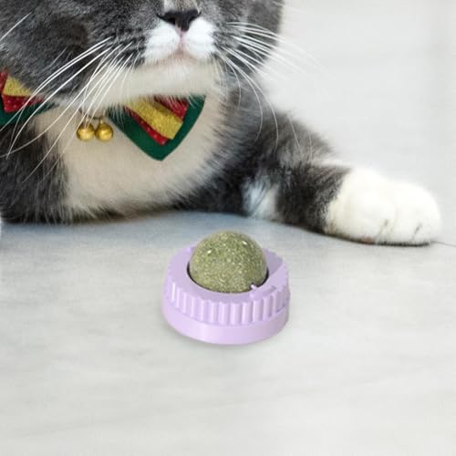 Catnip Chew Toys, Kitten Catnip Balls, Cats Balls Treats Set, Cat Teeth Cleaning Toys, Natural Catnip Balls, Engaging Catnip Playthings, Fun and Interactive Toy for Cats