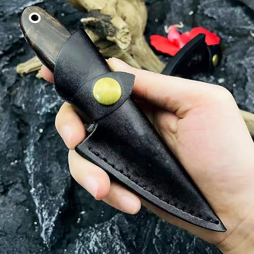 Fixed blade knife with holster, small with sheath full tang knife, fixed blade knife hunting knife, 2.5 inch camping knife for hiking, outdoors, survival, EDC