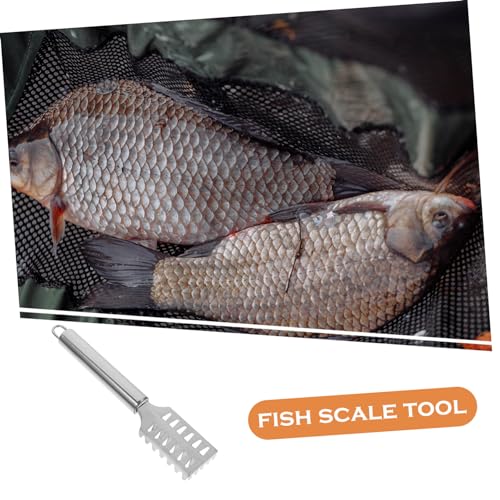 FUNOMOCYA Fish Scale Shaver Remove Fish Scale Fish Grater Living Fish Shaver Fish Scaler Brush Fish Scaler Kit Seafood Tool Scale Scraper Fish Gripper Fish Skin Cleaner Scale Peeler Silver